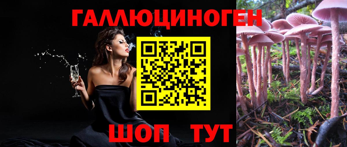 Галлюциногенные грибы мицелий  Вход с VPN  Юрга 